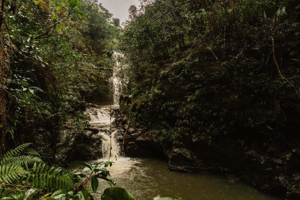 Waimano Falls Hike Guide: Trail, Photos & Tips for Oahu